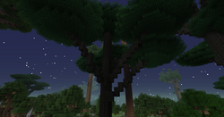 Twilght Forest Canopy Tree.png